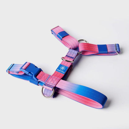 Spark Paws Comfort Control Large Dog No-Pull Harness, Halter Design with Front Clip, Durable and Heavy-Duty for Big and Strong Breeds