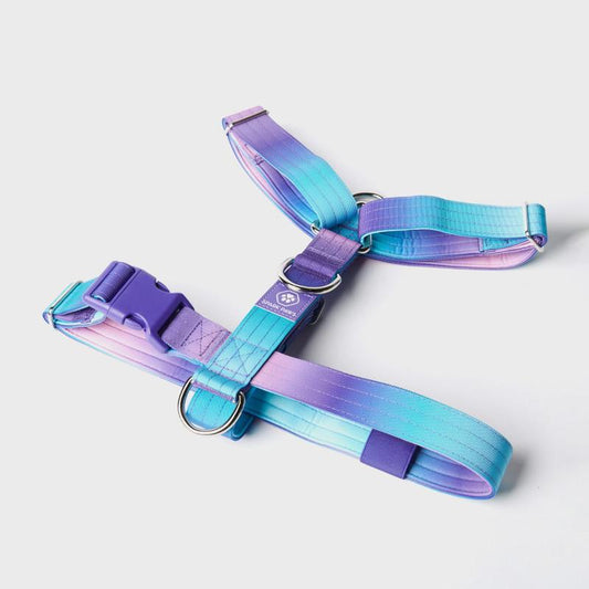 Spark Paws Comfort Control Large Dog No-Pull Harness, Halter Design with Front Clip, Durable and Heavy-Duty for Big and Strong Breeds