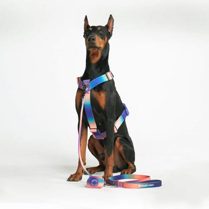 Spark Paws Comfort Control Large Dog No-Pull Harness, Halter Design with Front Clip, Durable and Heavy-Duty for Big and Strong Breeds
