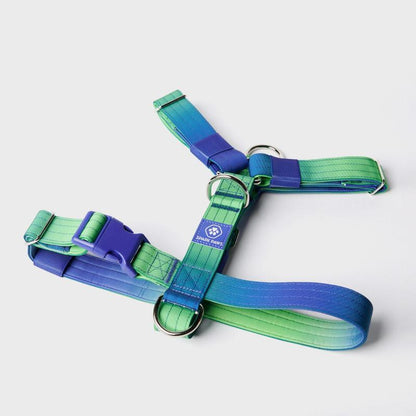 Spark Paws Comfort Control Large Dog No-Pull Harness, Halter Design with Front Clip, Durable and Heavy-Duty for Big and Strong Breeds
