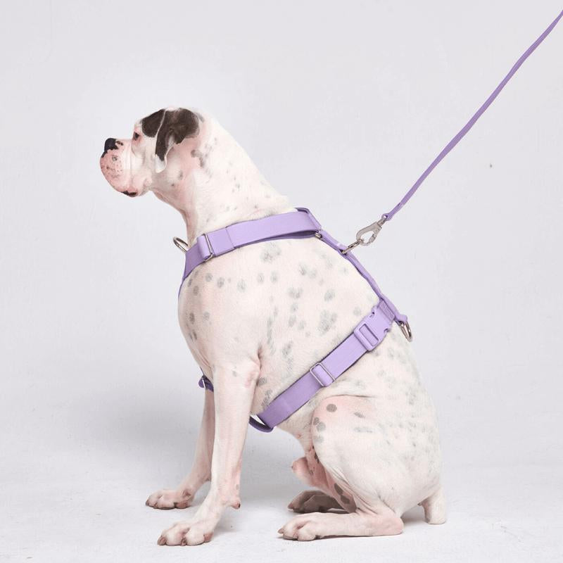 Spark Paws Comfort Control Large Dog No-Pull Harness, Halter Design with Front Clip, Durable and Heavy-Duty for Big and Strong Breeds