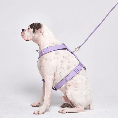 Spark Paws Comfort Control Large Dog No-Pull Harness, Halter Design with Front Clip, Durable and Heavy-Duty for Big and Strong Breeds