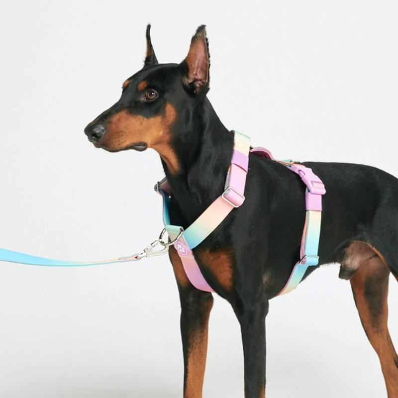 Spark Paws Comfort Control Large Dog No-Pull Harness, Halter Design with Front Clip, Durable and Heavy-Duty for Big and Strong Breeds