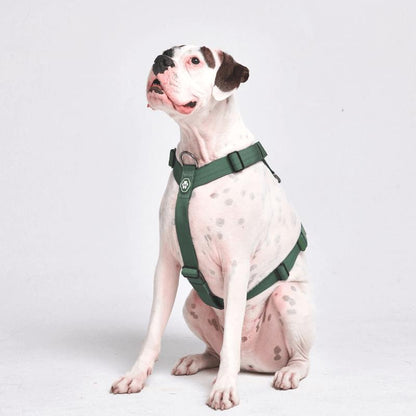 Spark Paws Comfort Control Large Dog No-Pull Harness, Halter Design with Front Clip, Durable and Heavy-Duty for Big and Strong Breeds