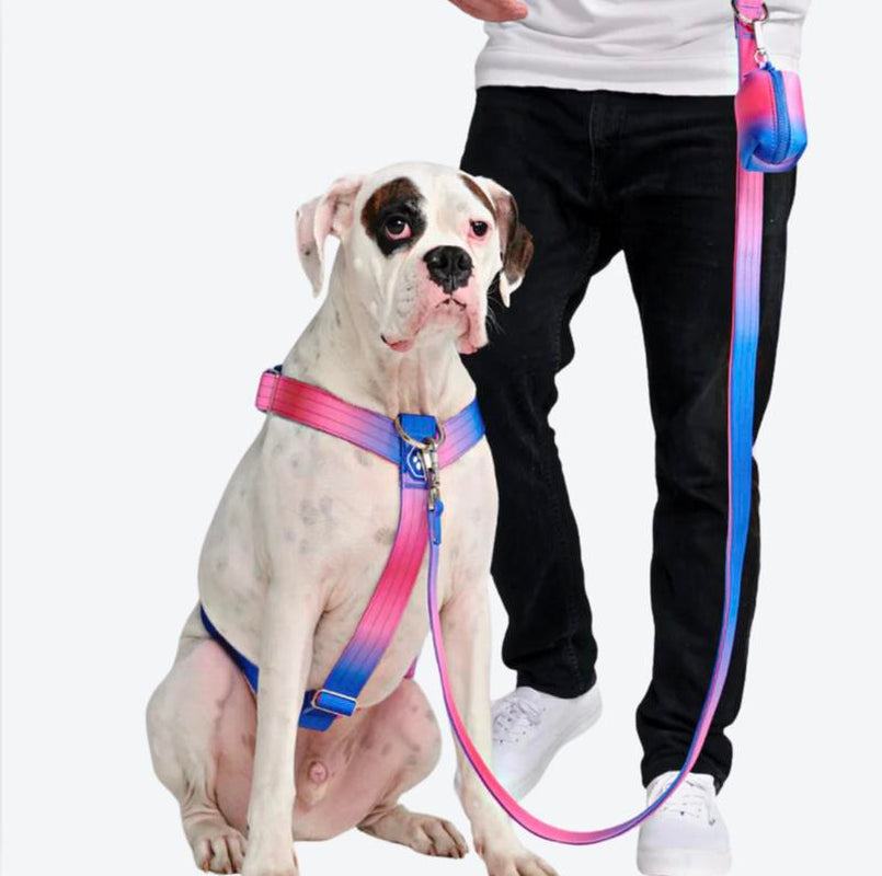 Spark Paws Comfort Control Large Dog No-Pull Harness, Halter Design with Front Clip, Durable and Heavy-Duty for Big and Strong Breeds