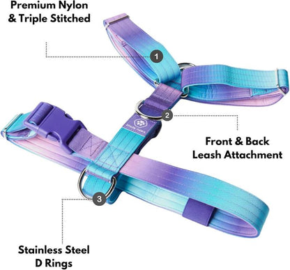 Spark Paws Comfort Control Large Dog No-Pull Harness, Halter Design with Front Clip, Durable and Heavy-Duty for Big and Strong Breeds
