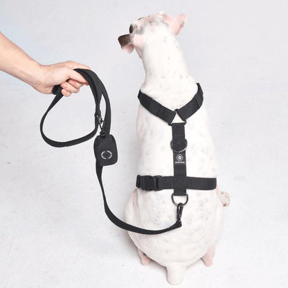 Spark Paws Comfort Control Large Dog No-Pull Harness, Halter Design with Front Clip, Durable and Heavy-Duty for Big and Strong Breeds
